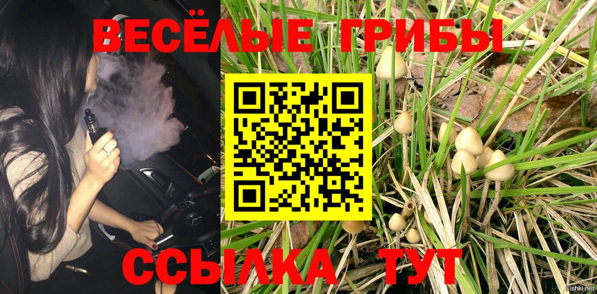 Ефремов  Галлюциногенные грибы прущие грибы  закладка  Псилоцибиновые грибы MAGIC MUSHROOMS  Вход с VPN 